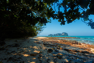 Obraz premium Sea. Tropical Paradise.