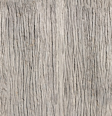 Seamless texture of old wooden boards of gray colors