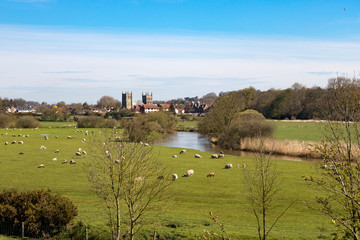 Wimborne Minster, Dorset, England