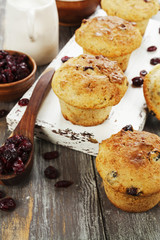 Muffins with dried cranberries