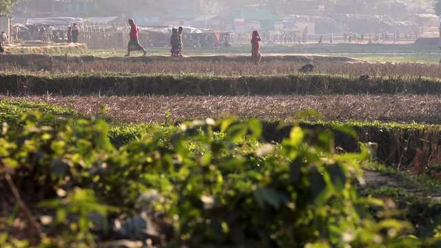 People walk next to a field in a long shot