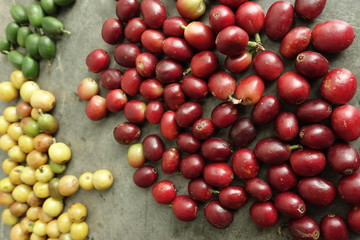 fresh coffee beans for background