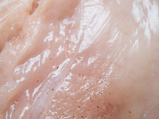 Fototapeta premium raw chicken fillet macro texture background closeup
