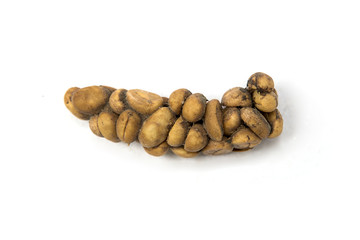 Kopi luwak or civet coffee, Arabica Coffee beans excreted by the civet isolated on white background