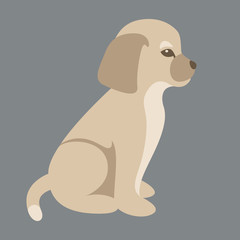  dog vector illustration flat style  profile side