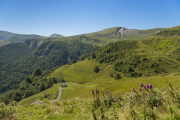 Obraz premium Les estives dans les Pyrénées au Col de Larrau.