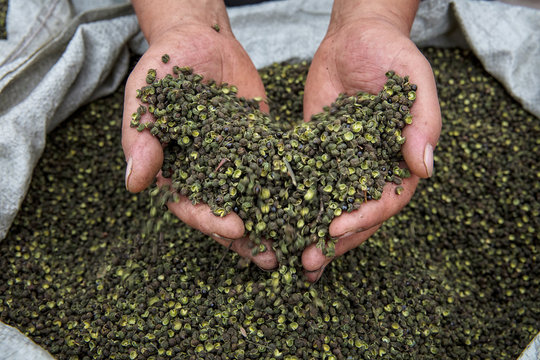 Sichuan Pepper