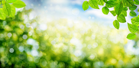 Landschaft Frühling