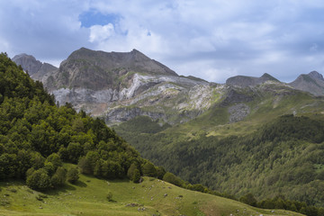 La vallée d'Aspe est une vallée des Pyrénées françaises.