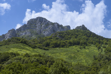 La vallée d'Aspe est une vallée des Pyrénées françaises.