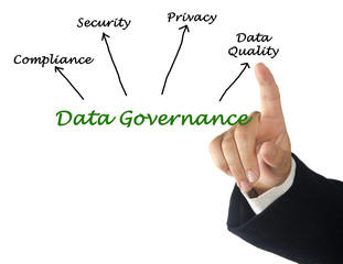 Data Governance Goals
