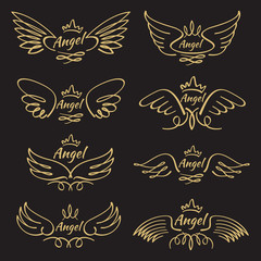 Elegant angel golden flying wings on black background