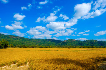 Obraz premium high mountains peaks range clouds in fog scenery landscape national park view outdoor at Chiang Rai, Chiang Mai Province, Thailand