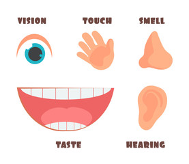 Human senses cartoon vector icons with eye, nose, ear, hand, and mouth symbols
