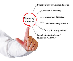 Causes of Anemia