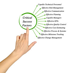 Critical Success Factors