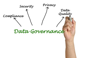 Data Governance Goals