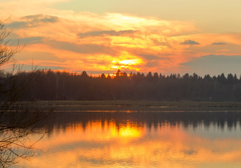 Obraz premium fiery sunset over the tops of pine forest