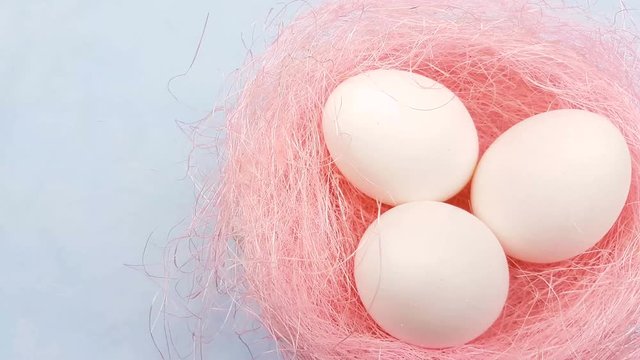 White easter eggs in pink nest on pastel blue background. Close up.