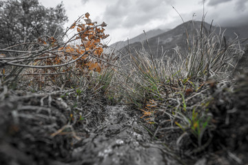 National Natural Park of France Mercantour