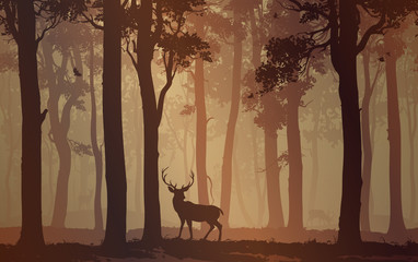 Obraz premium Las liściasty z ptakami i jeleniami