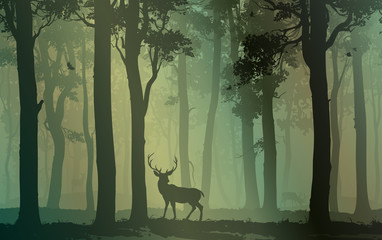 Obraz premium Las liściasty z ptakami i jeleniami