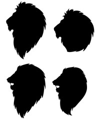 Obraz premium lion's head