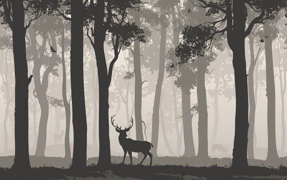 Horizontal seamless background with deciduous forest, birds and deer. Vector illustration