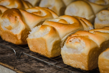 Baked thai Coconut Bread bake in tray bakery.