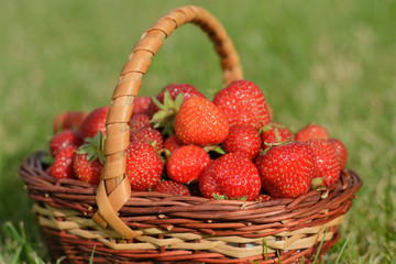 Fototapeta na wymiar large strawberries in a basket
