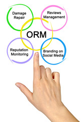 Online reputation management