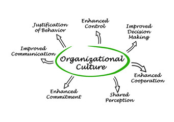 Functions of Organizational Culture