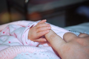 Fototapeta premium the fingers of a newborn baby holding your fingers mom