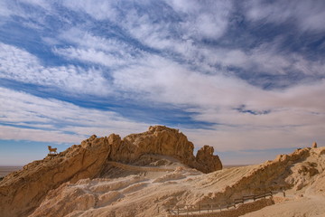 Fototapeta premium シェビカ