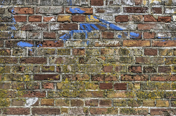 Old brick wall with stains of moss, chalk, mortar and blue paint