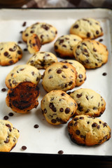 Cookies closeup on baking tray