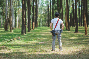 Fototapeta premium Photographer holding camera in the pine tree forest during journey 