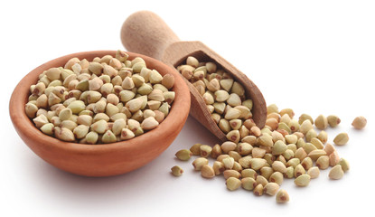 Buckwheat