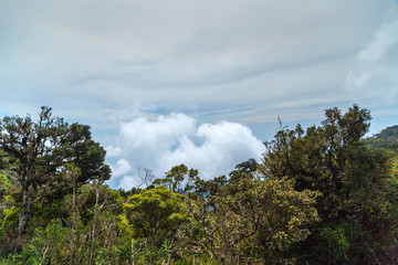 Obraz premium Landscape Hills Horton Plains National Park, Central highlands, Sri Lanka