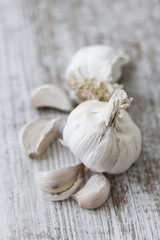 Garlic
