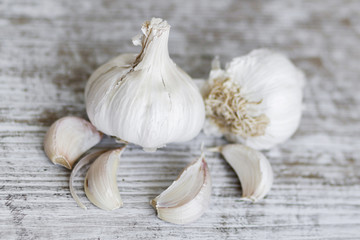 Garlic