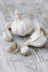 Garlic