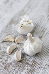 Garlic