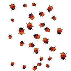 Delicate background with ladybugs. Trendy template for a postcard, stamp, banner or poster. Cute Ladybugs on a white background. Vector