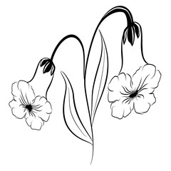 Beautiful silhouette of a flower on a white background. Contour drawing. Element for design and decoration. Vector illustration.