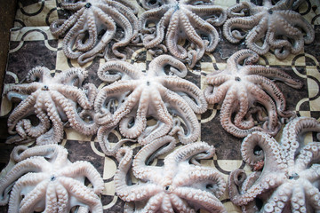 Octopus on a street fish market