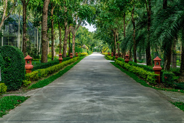 Concrete country road