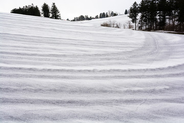 融雪剤が撒かれた雪の畑