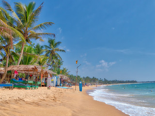 Obraz premium Strandszenerie am Hikkaduwa Beach mit vielen Kokospalmen, feinem Sandstrand und Palmblatt-Hütten auf der bezaubernden tropischen Insel Sri Lanka im Indischen Ozean