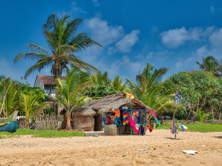 Strandszenerie am Hikkaduwa Beach mit vielen Kokospalmen, feinem Sandstrand und Palmblatt-Hütten...